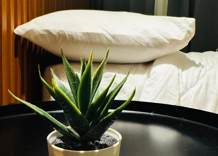Solana Staycation At Shore 3 Tower 2 *